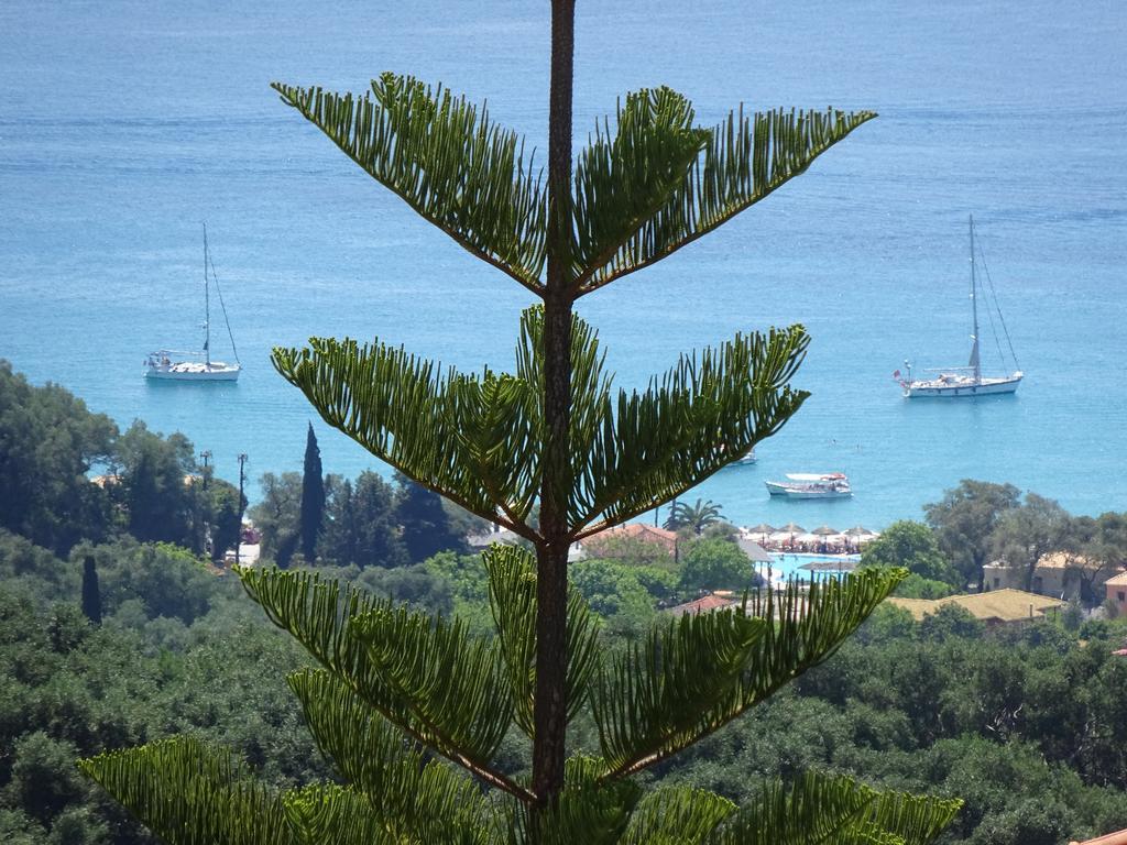 Guest house Elena Rista Parga