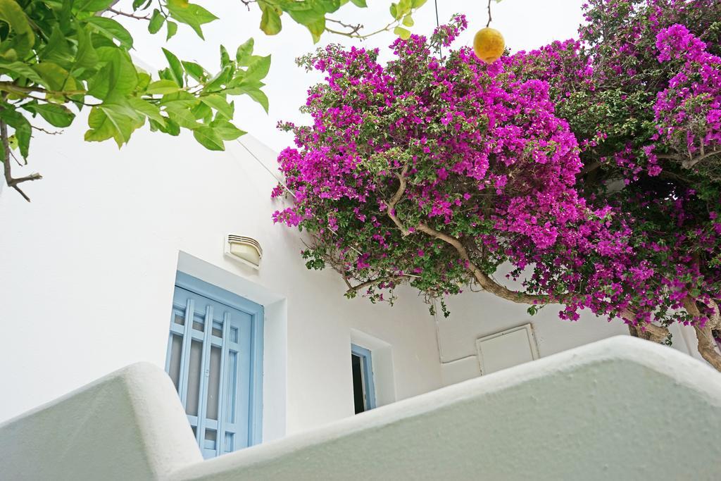 Apartment Klironomos