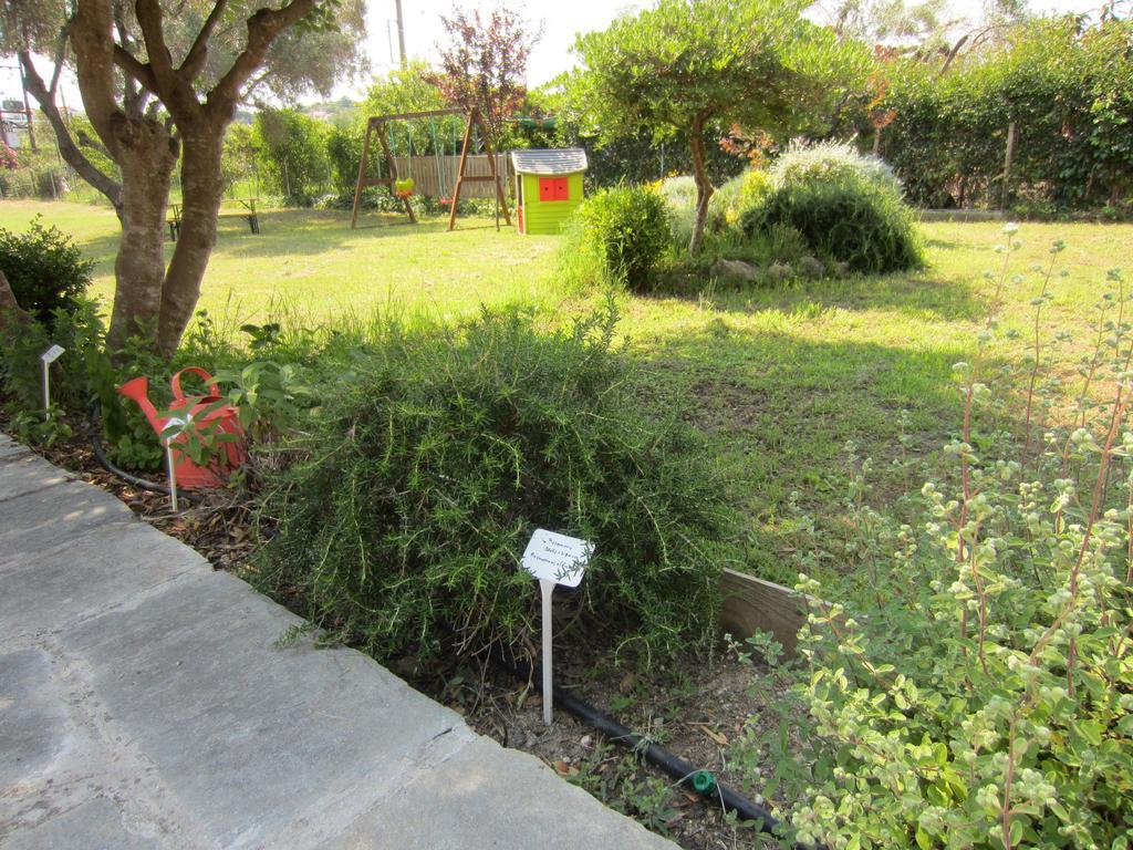Apartment Neria Summer
