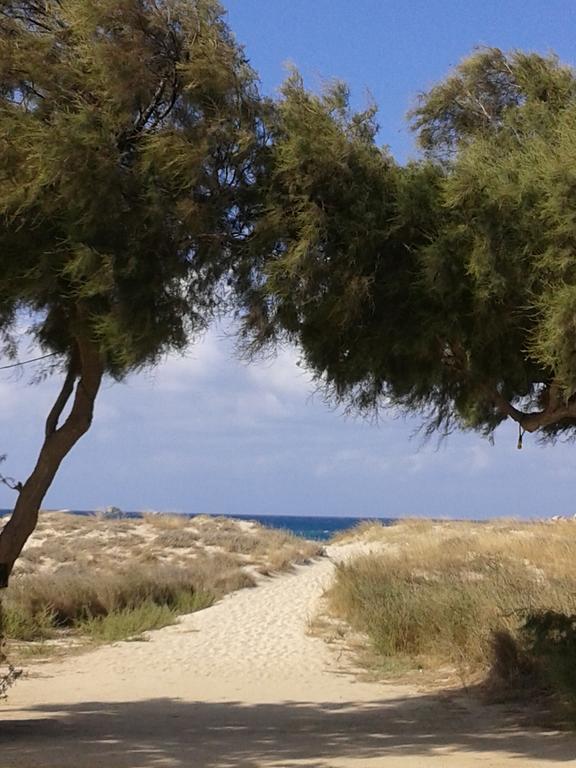 Sea Shell Holiday home Plaka (Naxos)