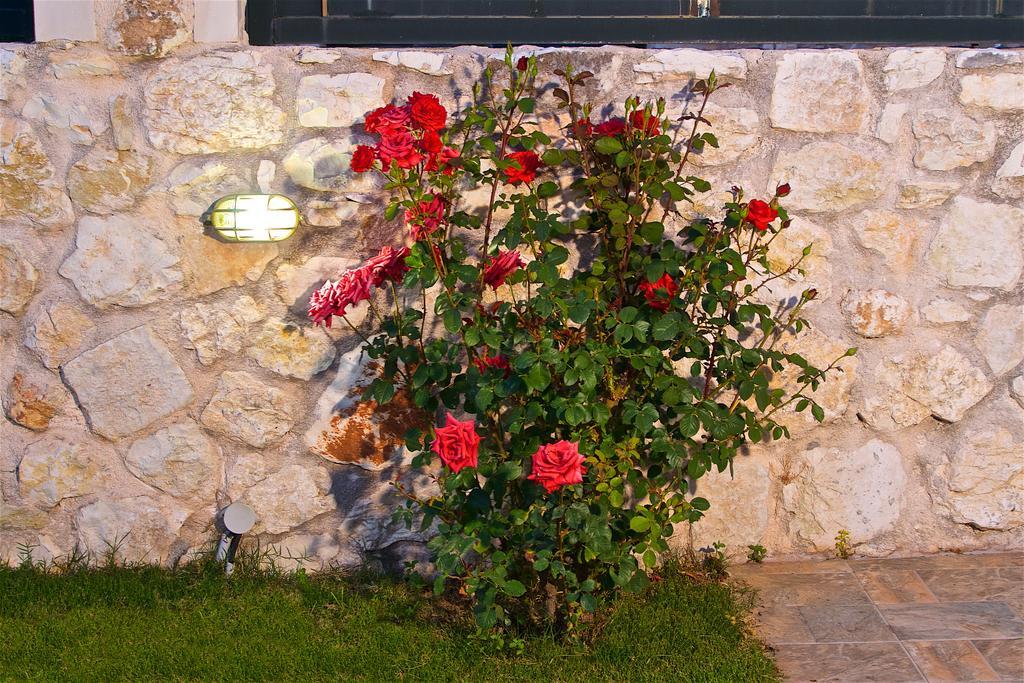 Superb With Private Pool Peaceful Location Villa *