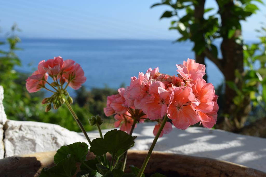 Eden Sea View Apartment Mesongi