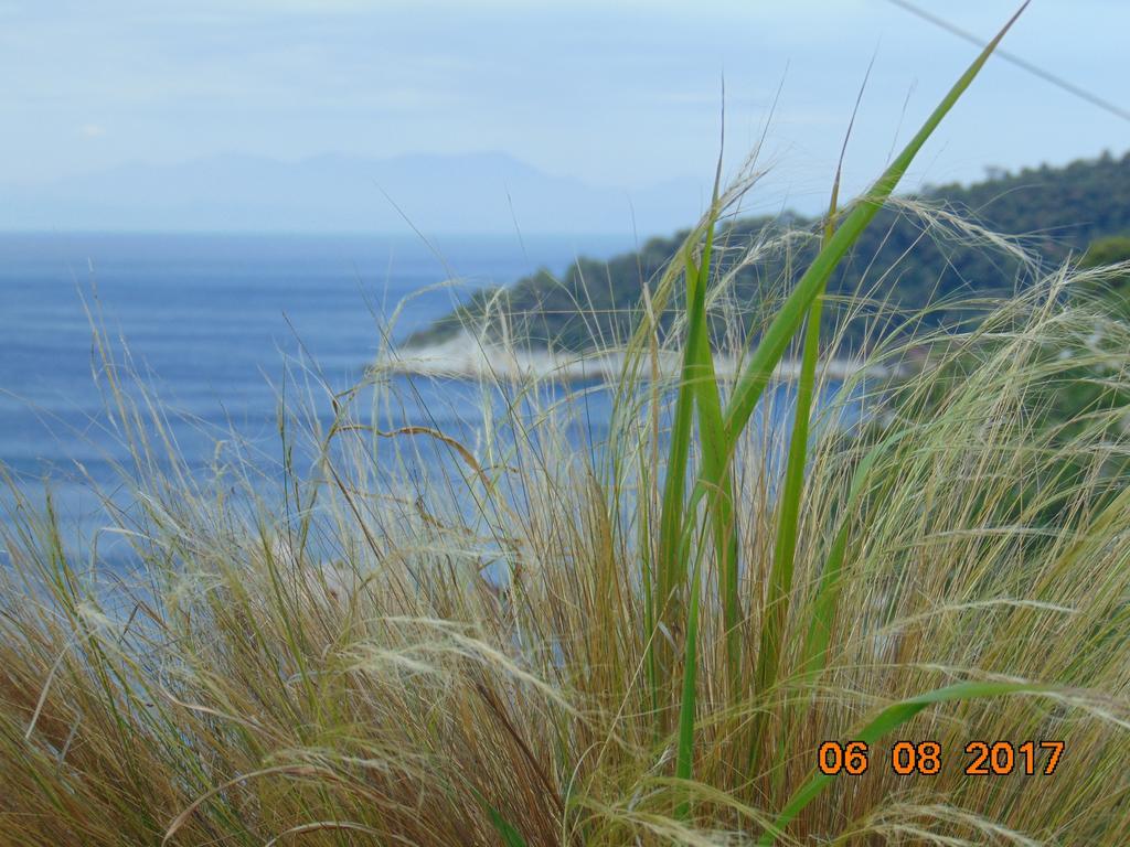 Holiday home Pigi *