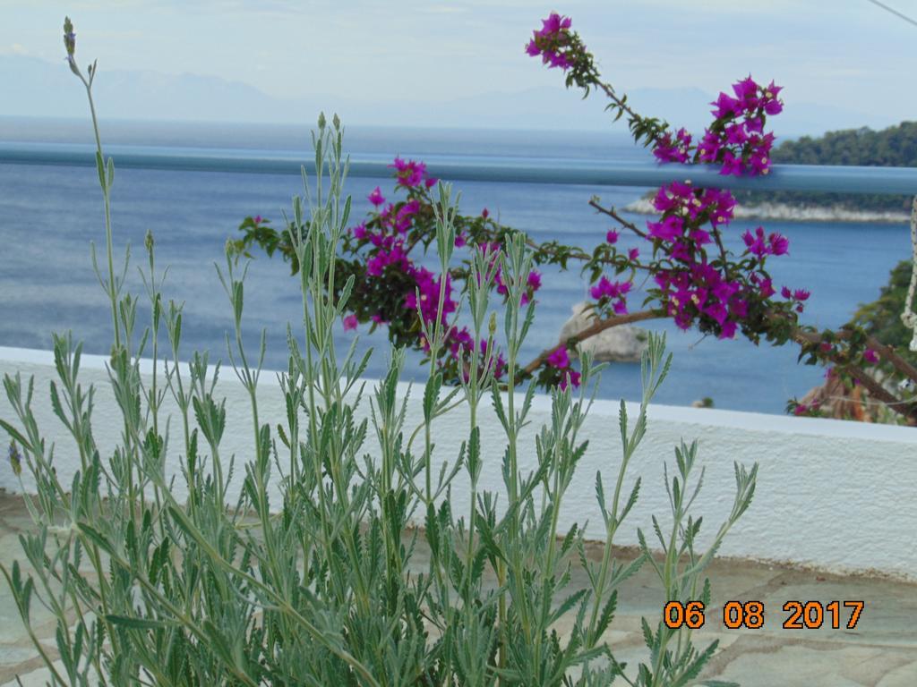 Pigi Holiday home