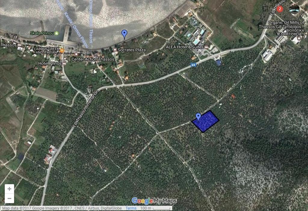 Elea Stone In Organic Quiet Olive Grove, Prinos, Thassos Prinos (Thasos)