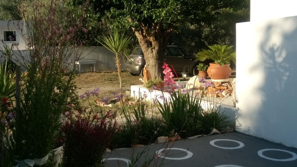 Skyros Panorama Studios 2* Skyros