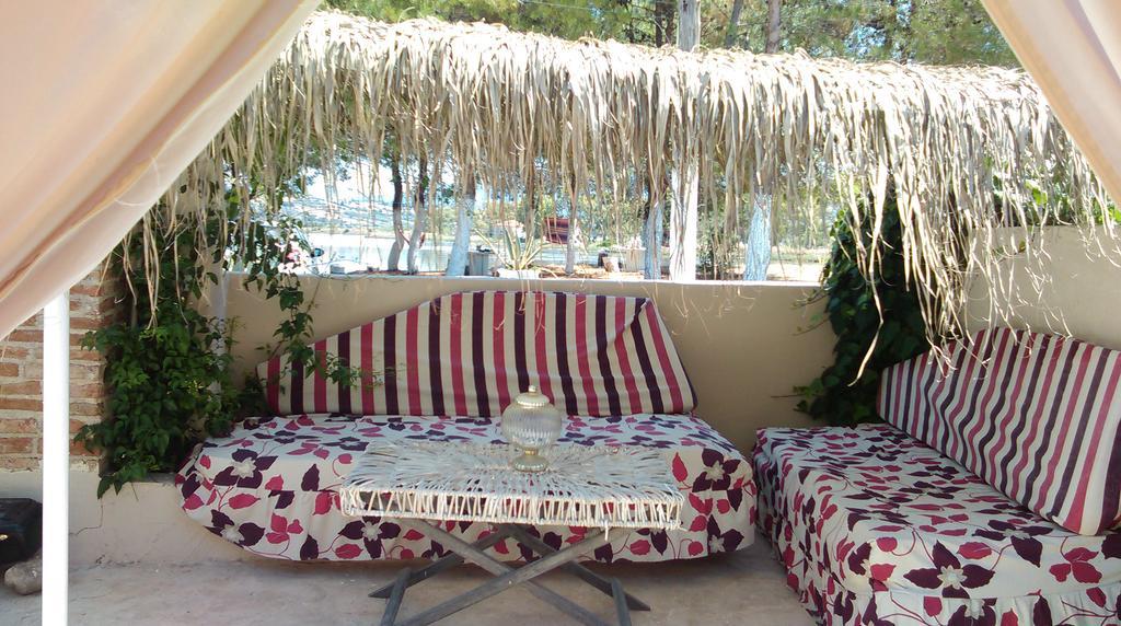 Olga Lounge 3*