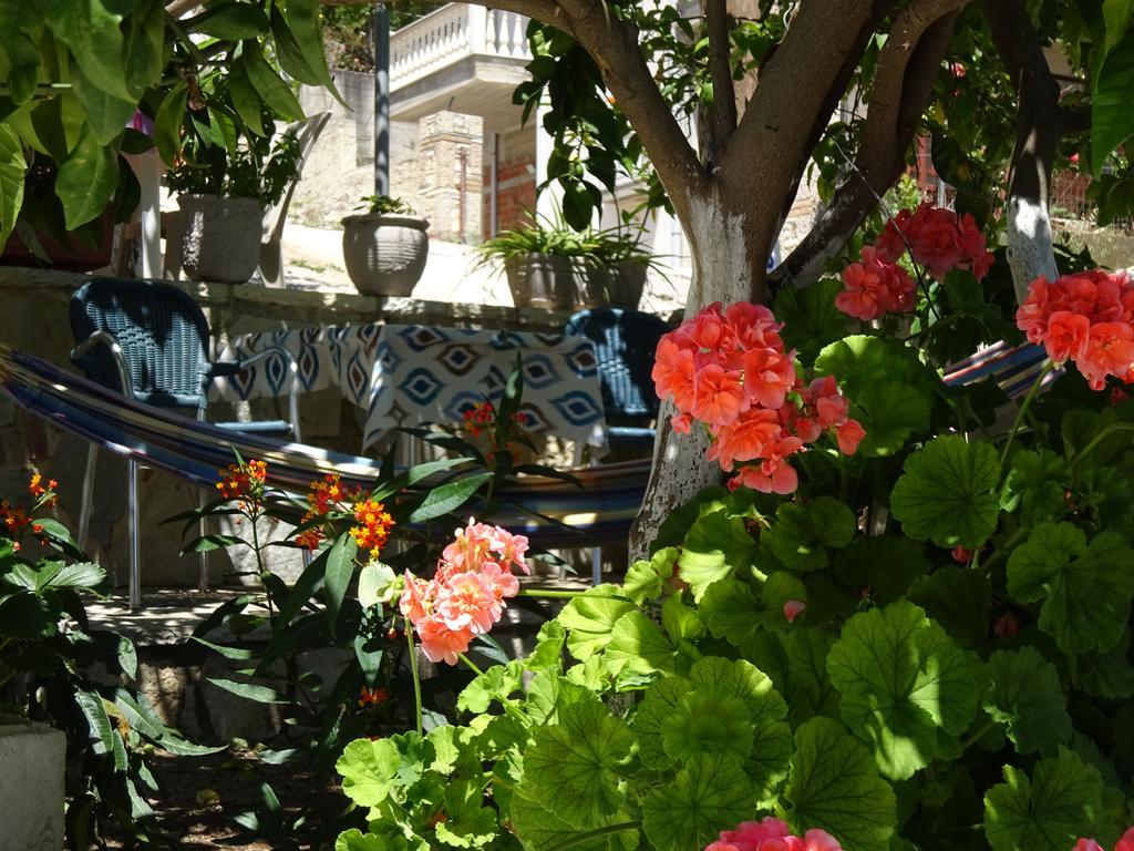 Elena Rista Guest house Parga