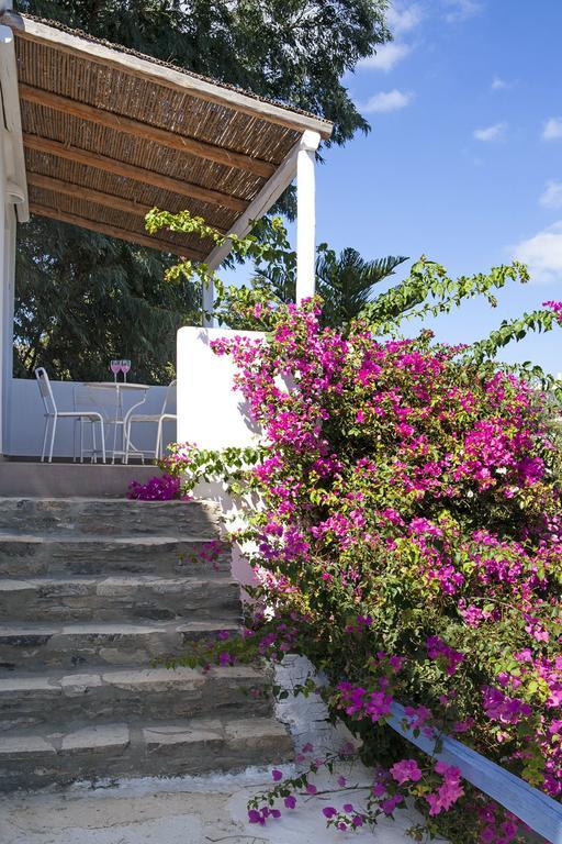 Apartment House Antiparos
