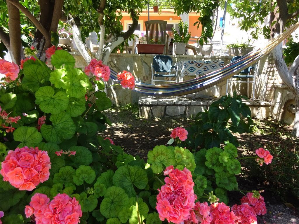 Guest house Elena Rista Parga