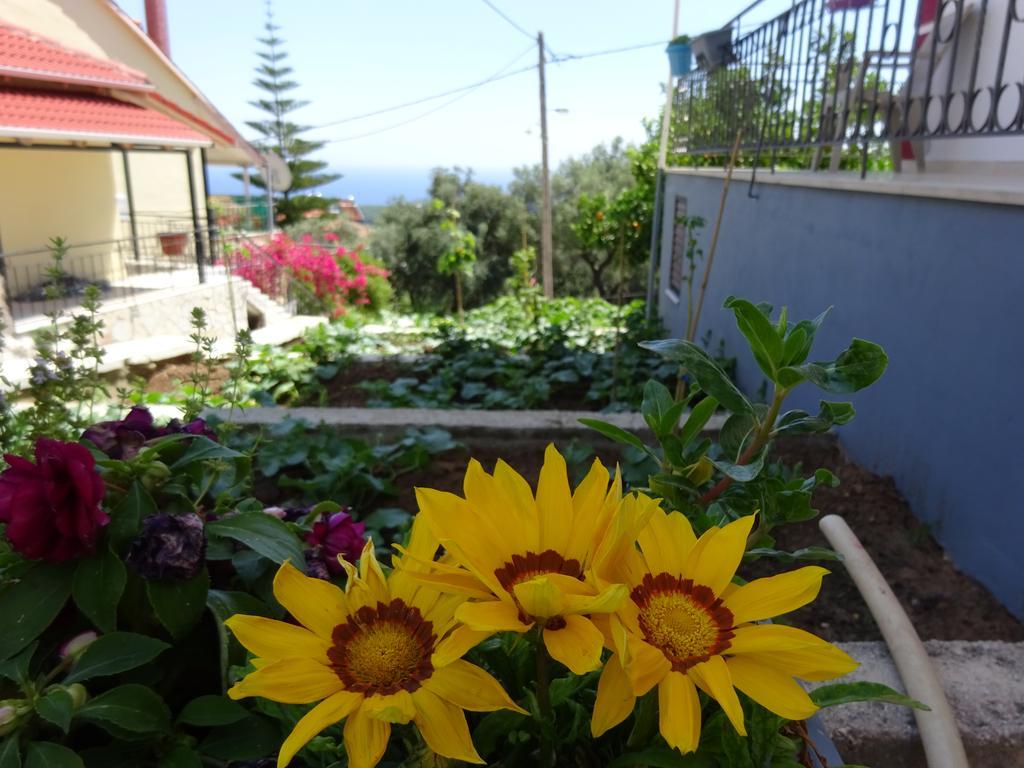 Guest house Elena Rista