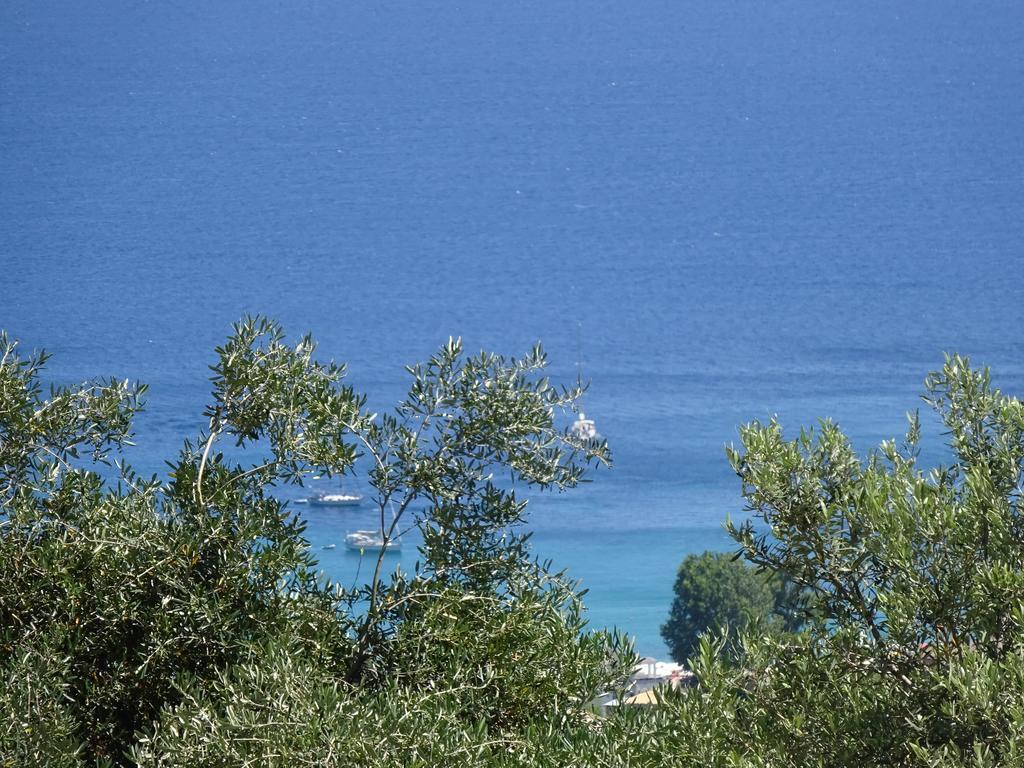 Elena Rista Guest house
