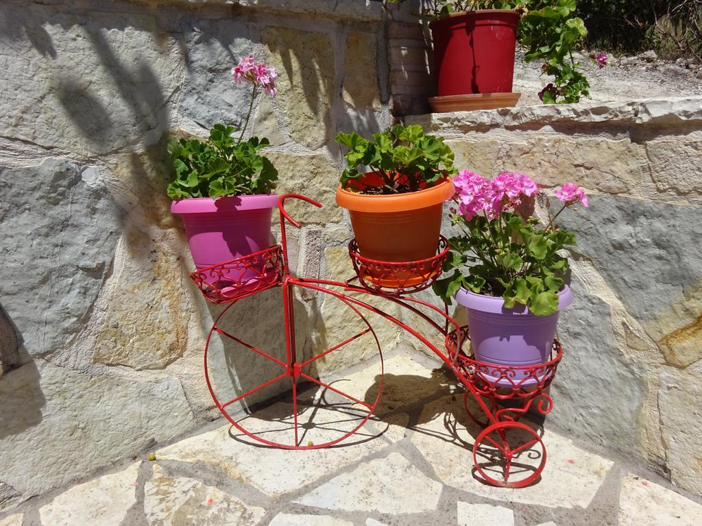 Guest house Elena Rista Parga