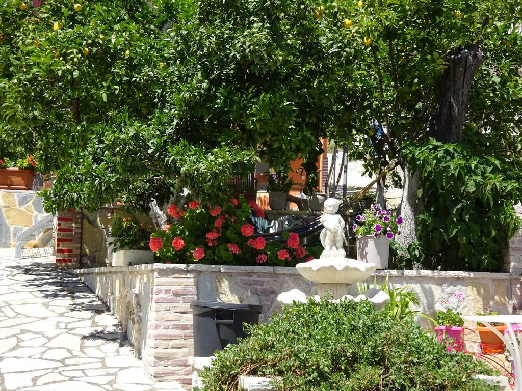 Guest house Elena Rista