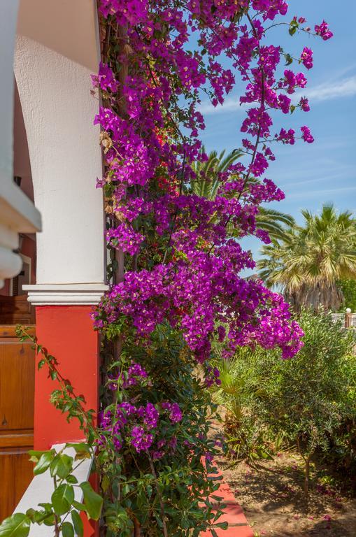 Tropical Laganas