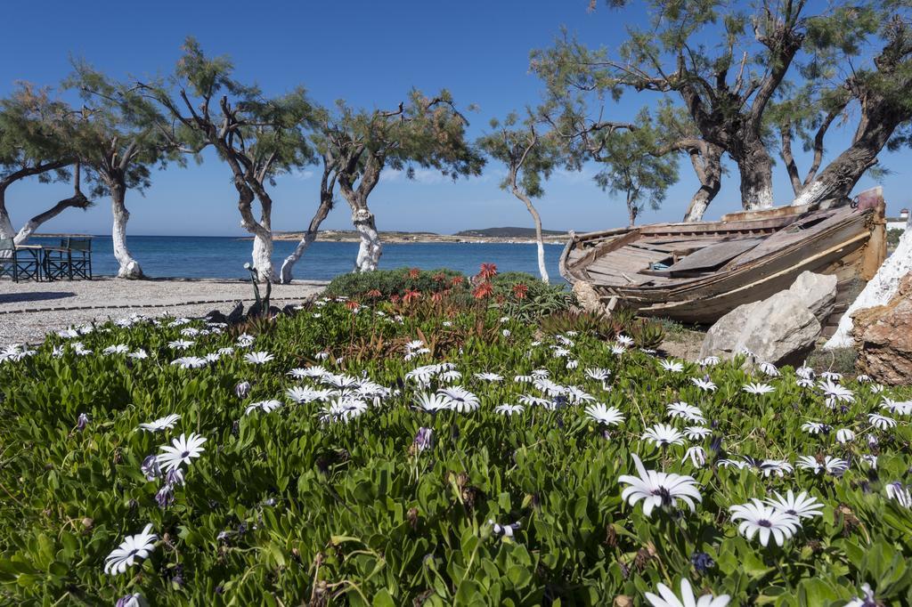Hotel Kalypso Parikia (Paros)
