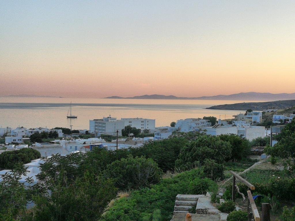 Panorama *
