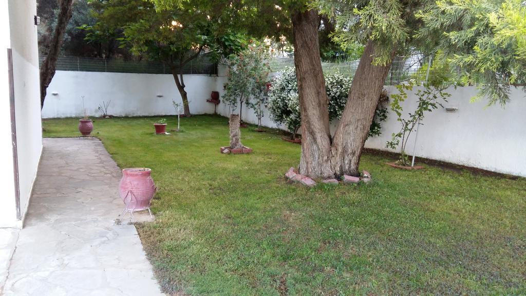 Apartment Stachtaris Psakoudia
