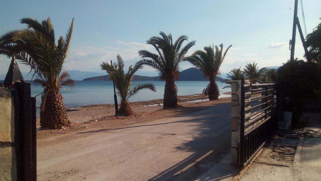 Alexanders Apartment Drepano (Argolis)