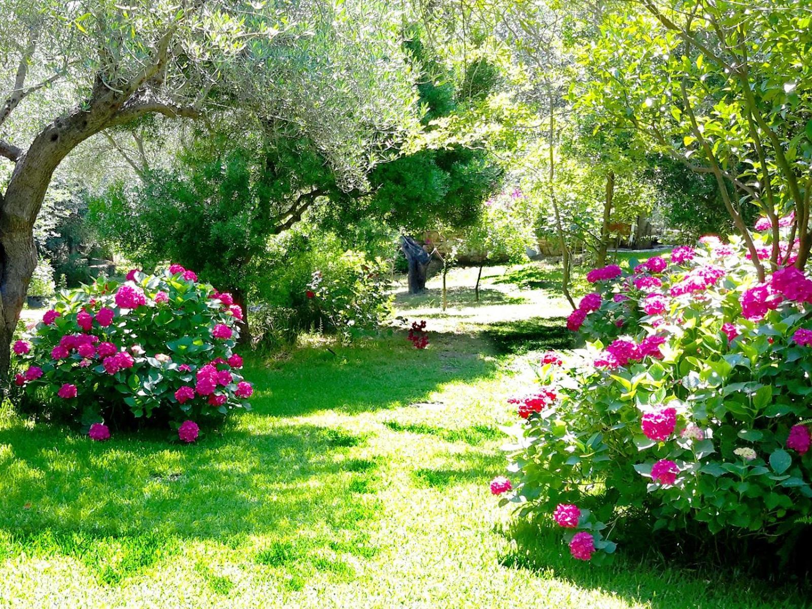 Galini Apartment Sivota (Epirus)