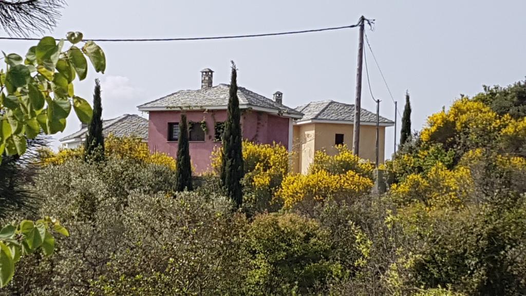 Country house The Nereids-erato