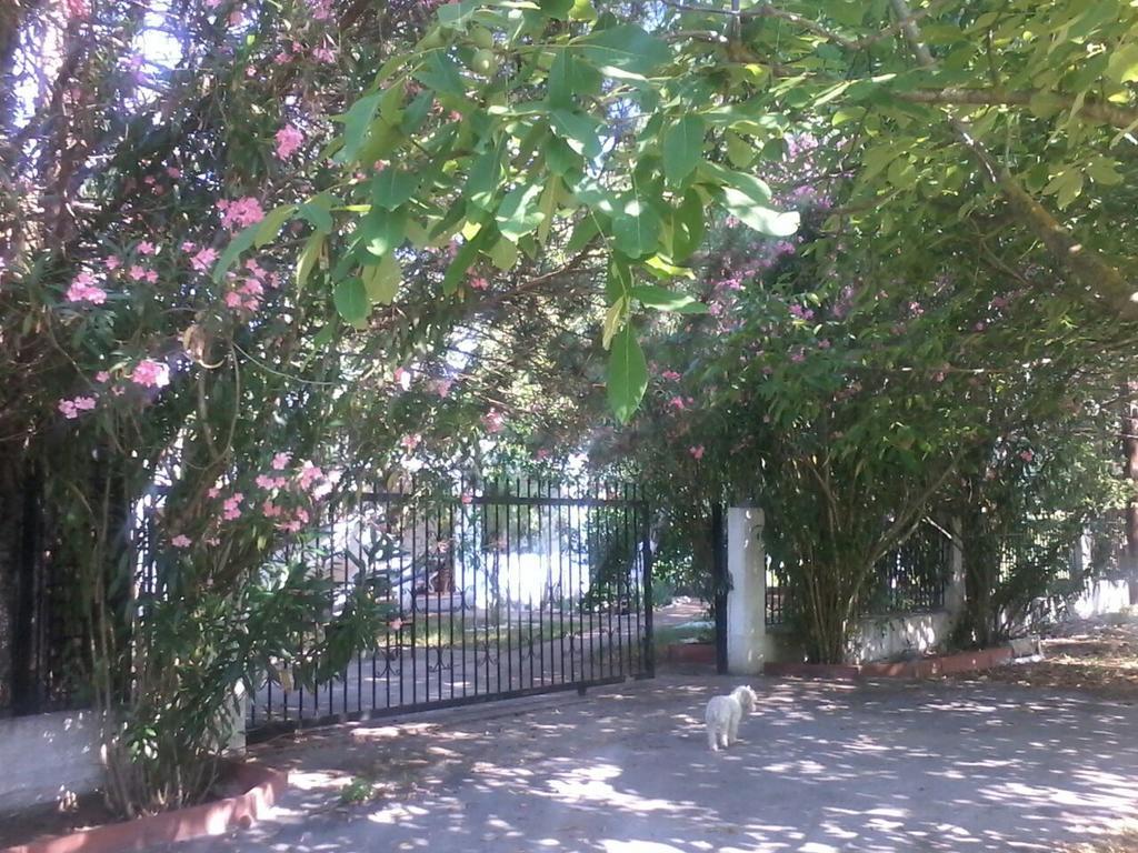 Garden Valentina Holiday home Stavros (Thessaloniki)