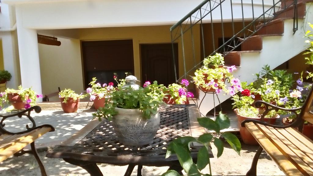 Apartment Natalia's Nikiti (Sithonia)