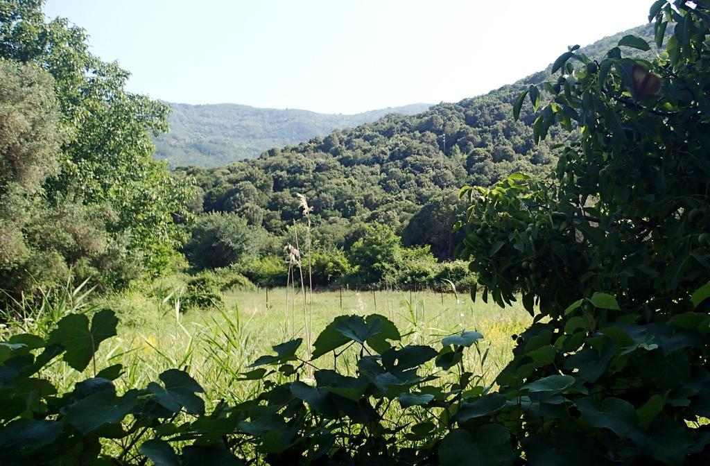 Garden Valentina Holiday home