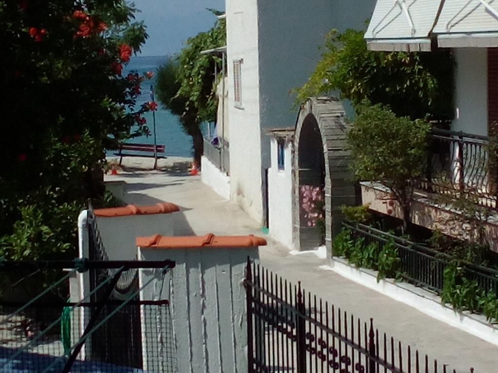 Arleta's Sunny Prinos (Thasos)