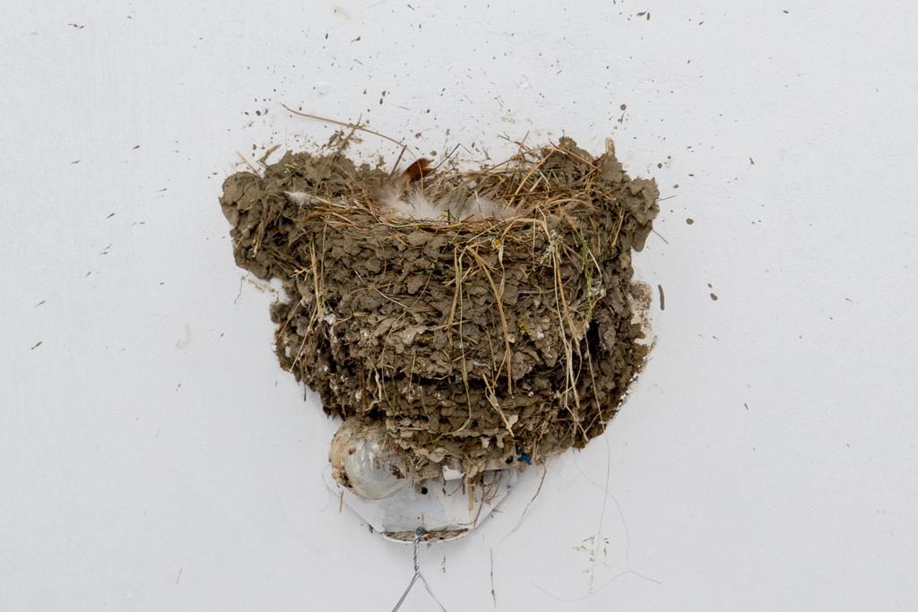 Nest Apartment *