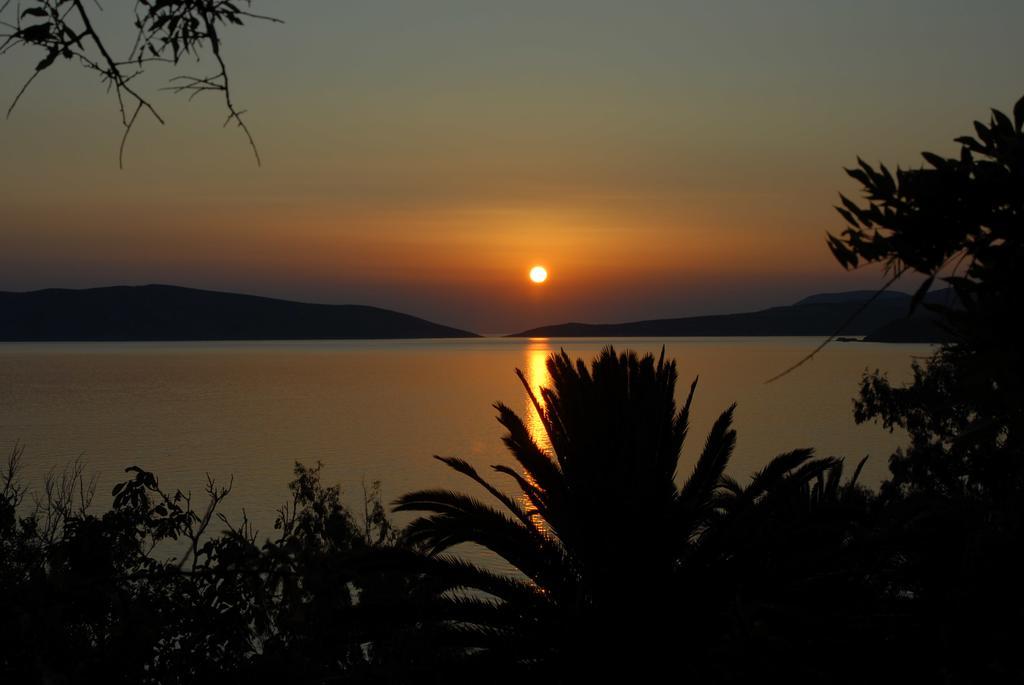 Nyfi Bungalows Holiday home