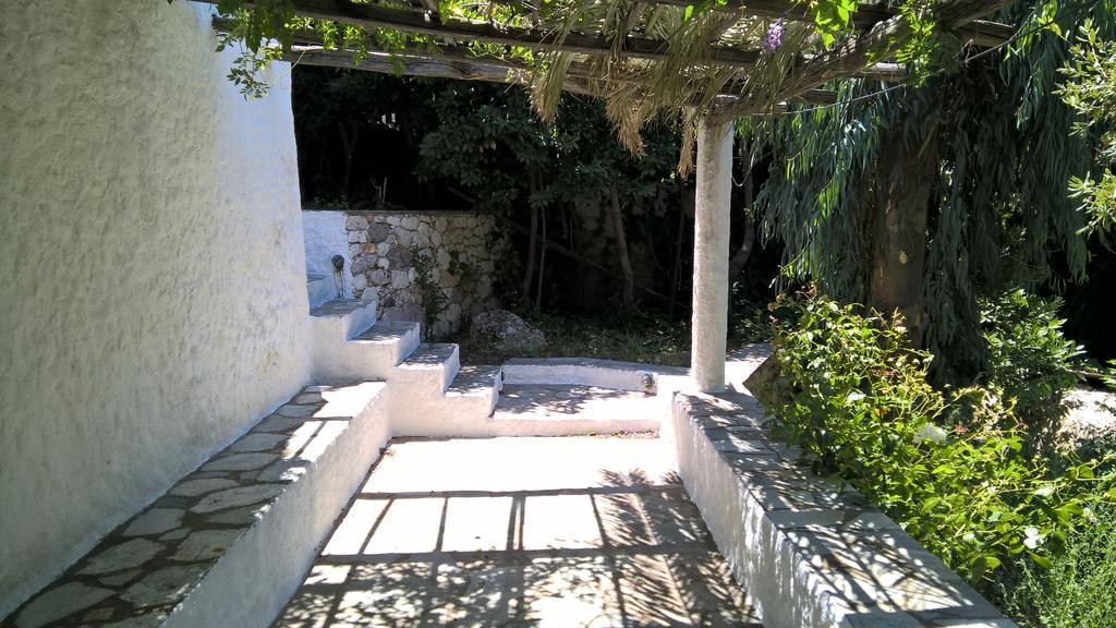 Nyfi Bungalows Holiday home *