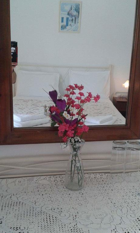 Guest house Artemis *