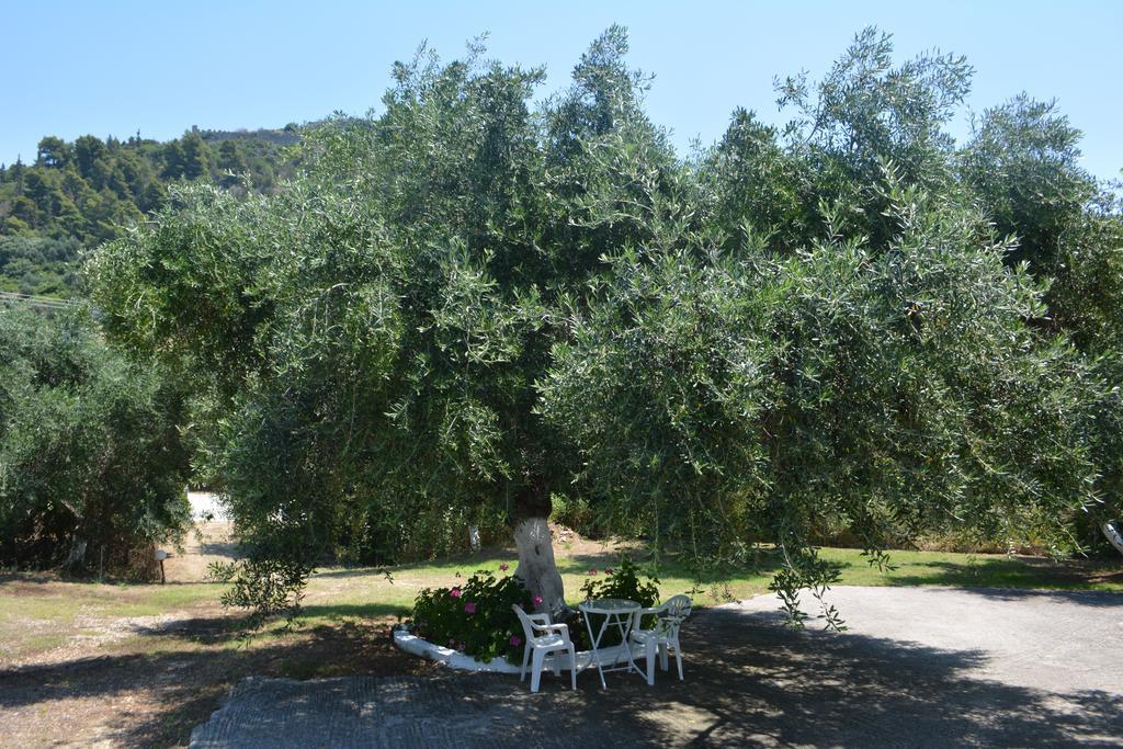 Guest house Filoxenia