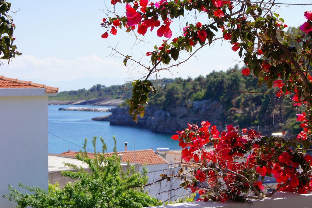 Stella Apartment Patitiri (Alonnisos)