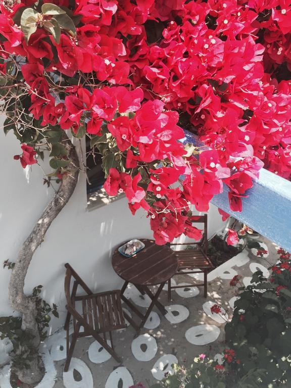 Pension Galini Apartment Katapola