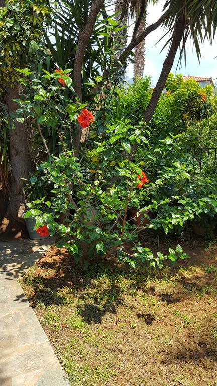 Onar A Stone House With Amazing View Holiday home Stoupa