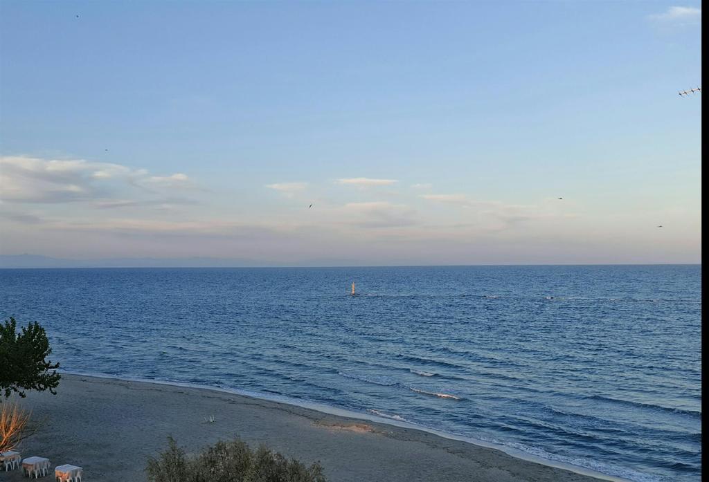 Studio Just On The Beach *