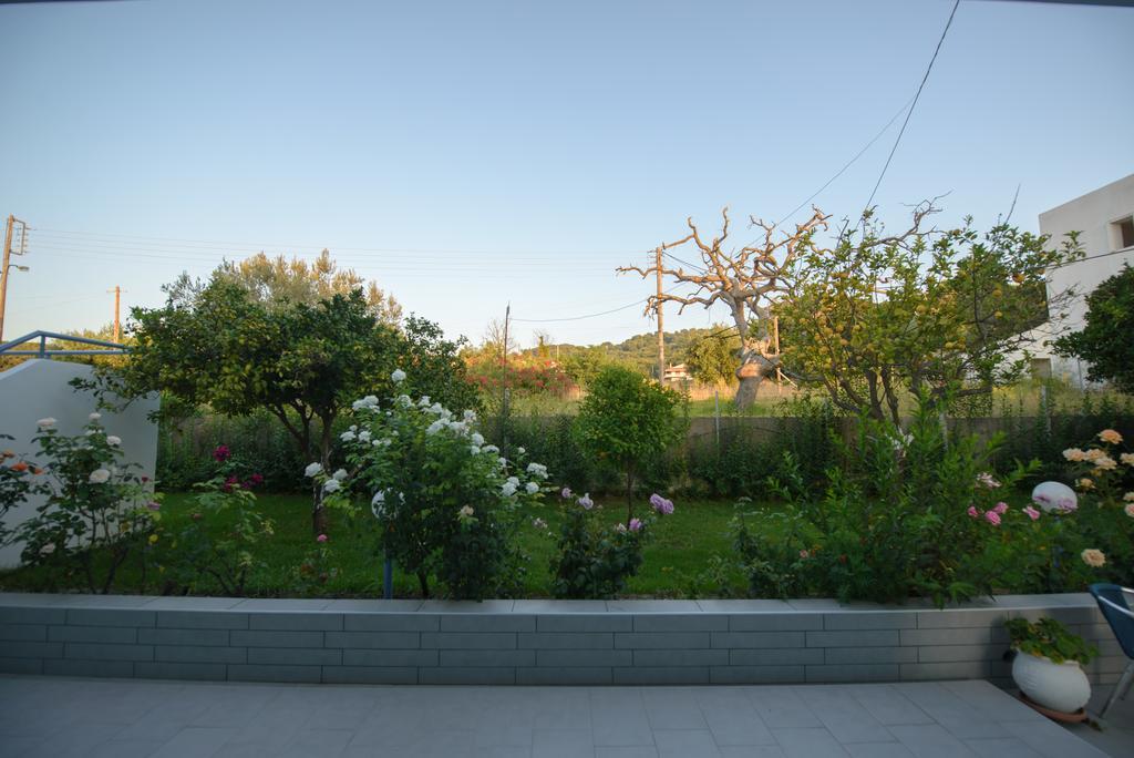 Dimitra Apartment Skafidia