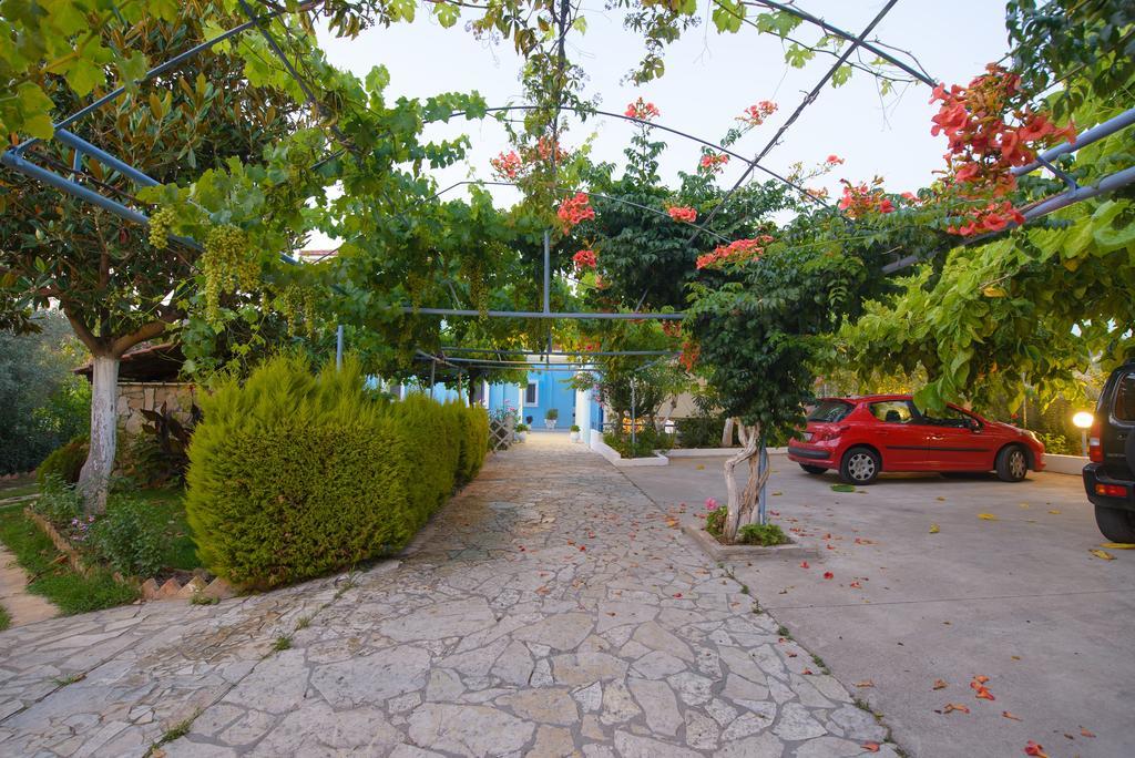 Dimitra Apartment Skafidia
