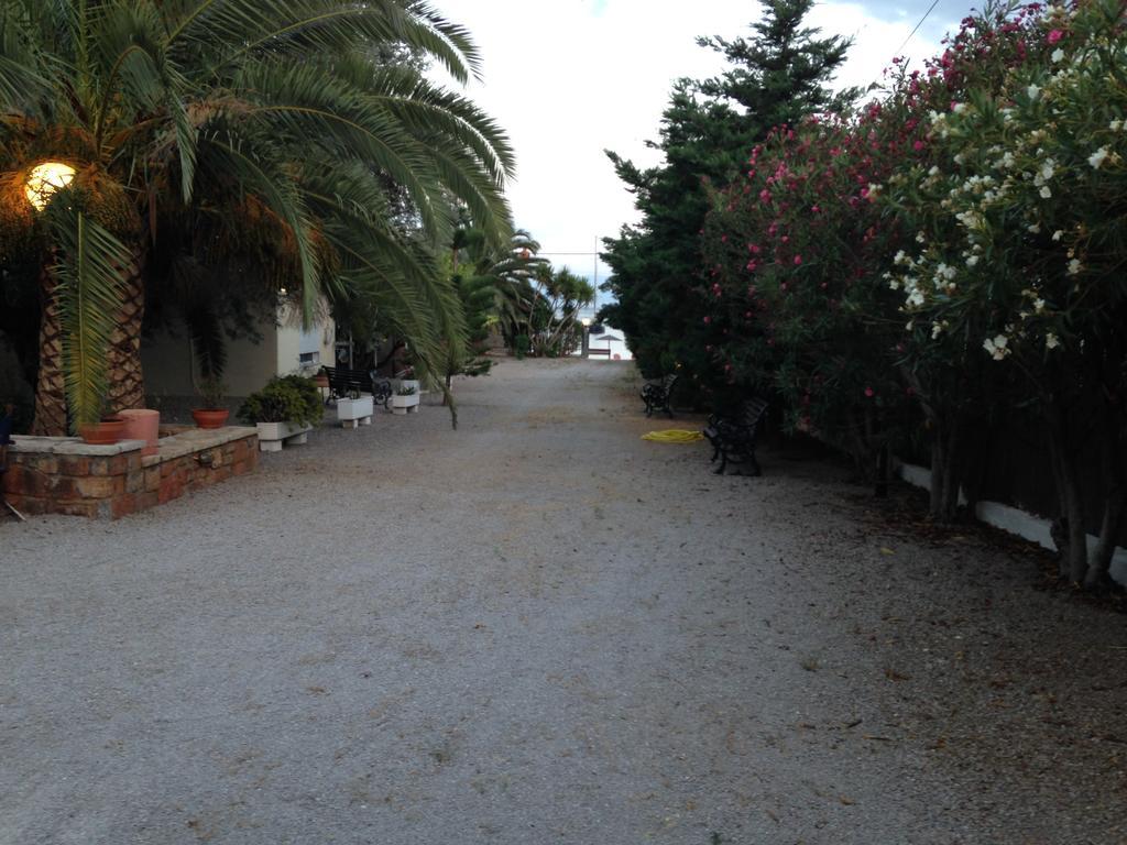 Oasis Ag Pantes Agioi Pandes