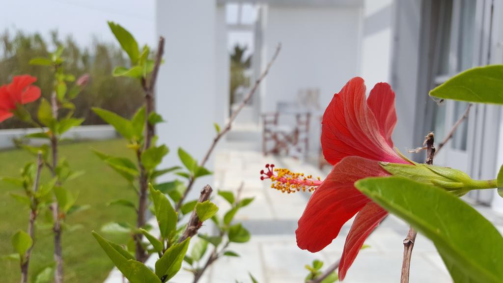 Akrotiri Villa Skyros