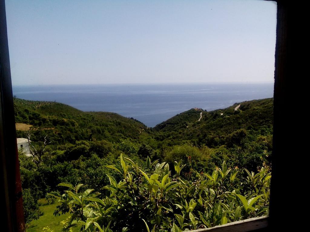Holiday home Nightingale Pelion Kalamaki (Thessaly)