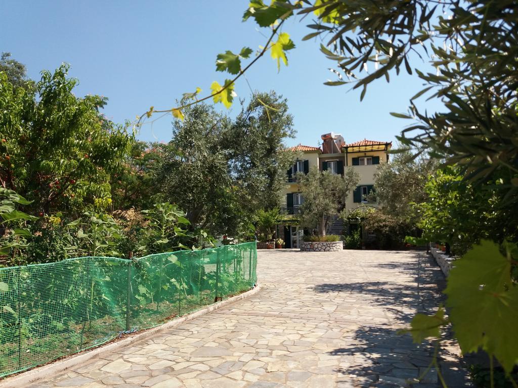 Vasiliki Petra (Lesbos)