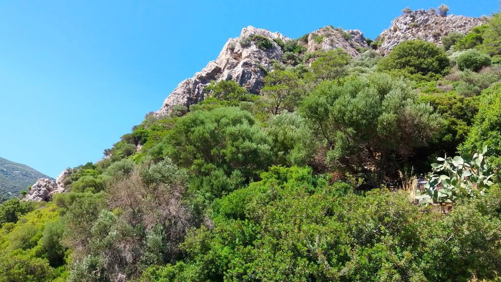 Iasonas Aparthotel Agios Kirykos (Ikaria)