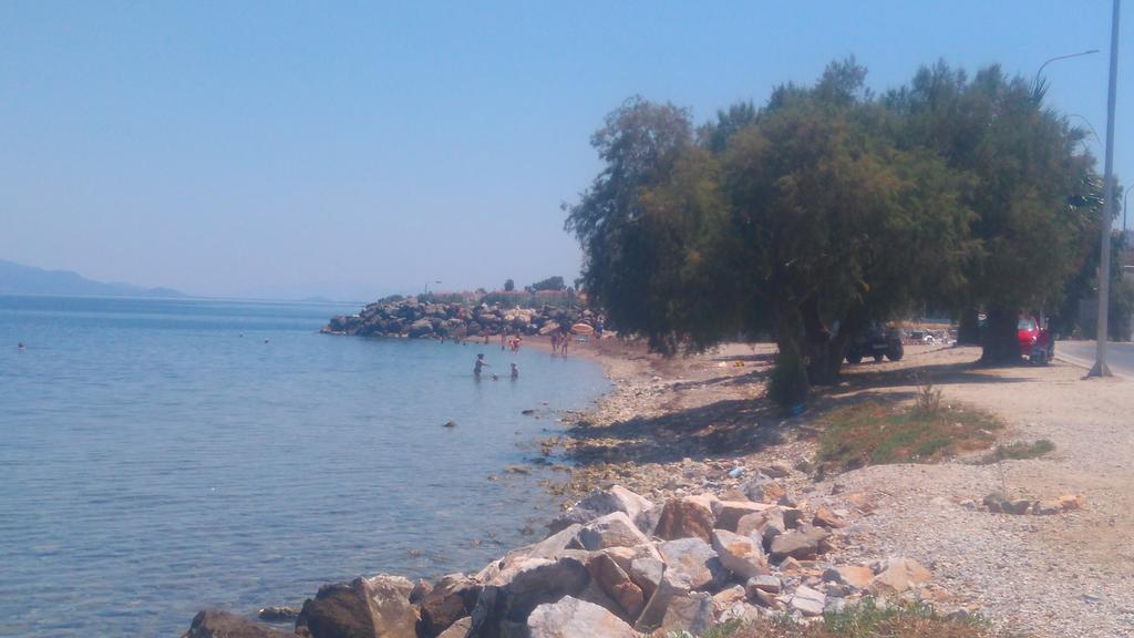 Nufaro 3*
