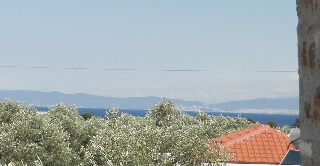 Elea Stone In Organic Quiet Olive Grove, Prinos, Thassos *