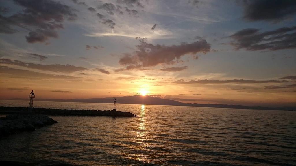 Faros