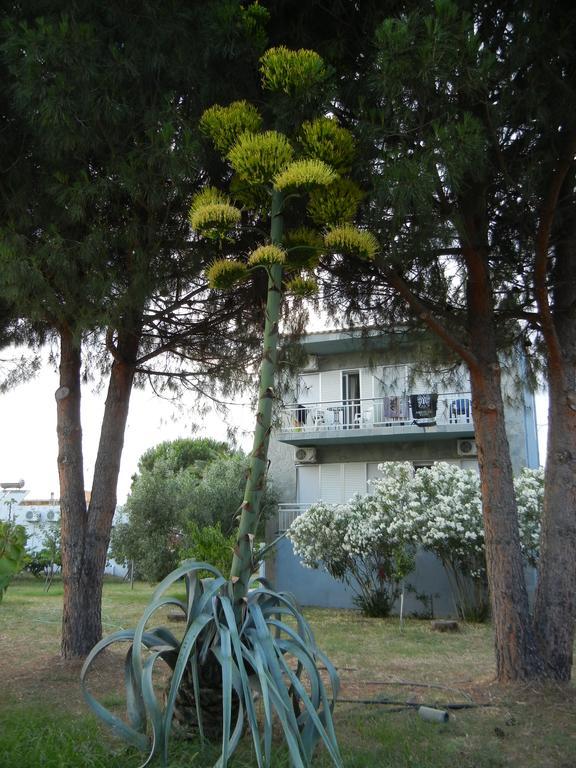Lakis Prinos (Thasos)