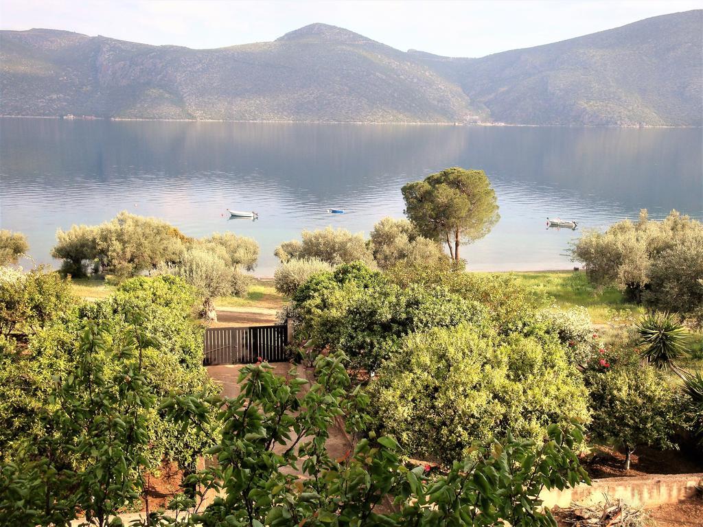 Villa Waterfront Mediterranean Skroponeria
